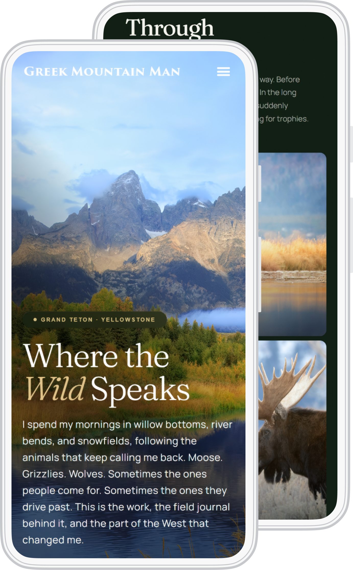 Phone mockup preview