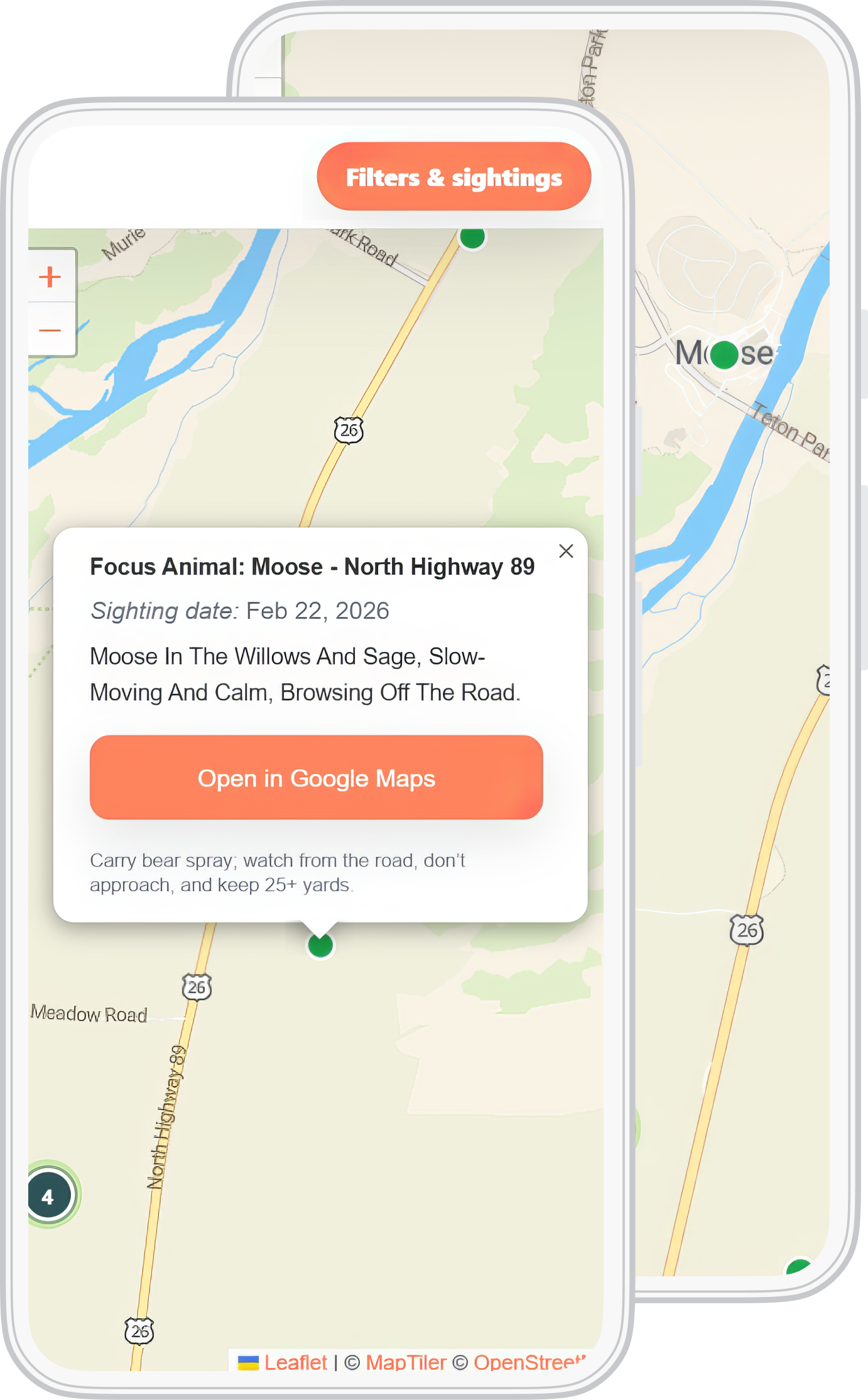 Phone mockup preview