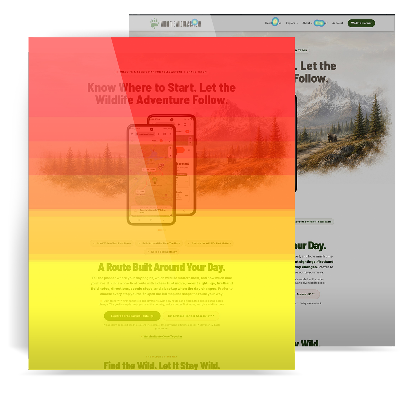 Heatmap and click-map review of the Where The Wild Beasts Roam website
