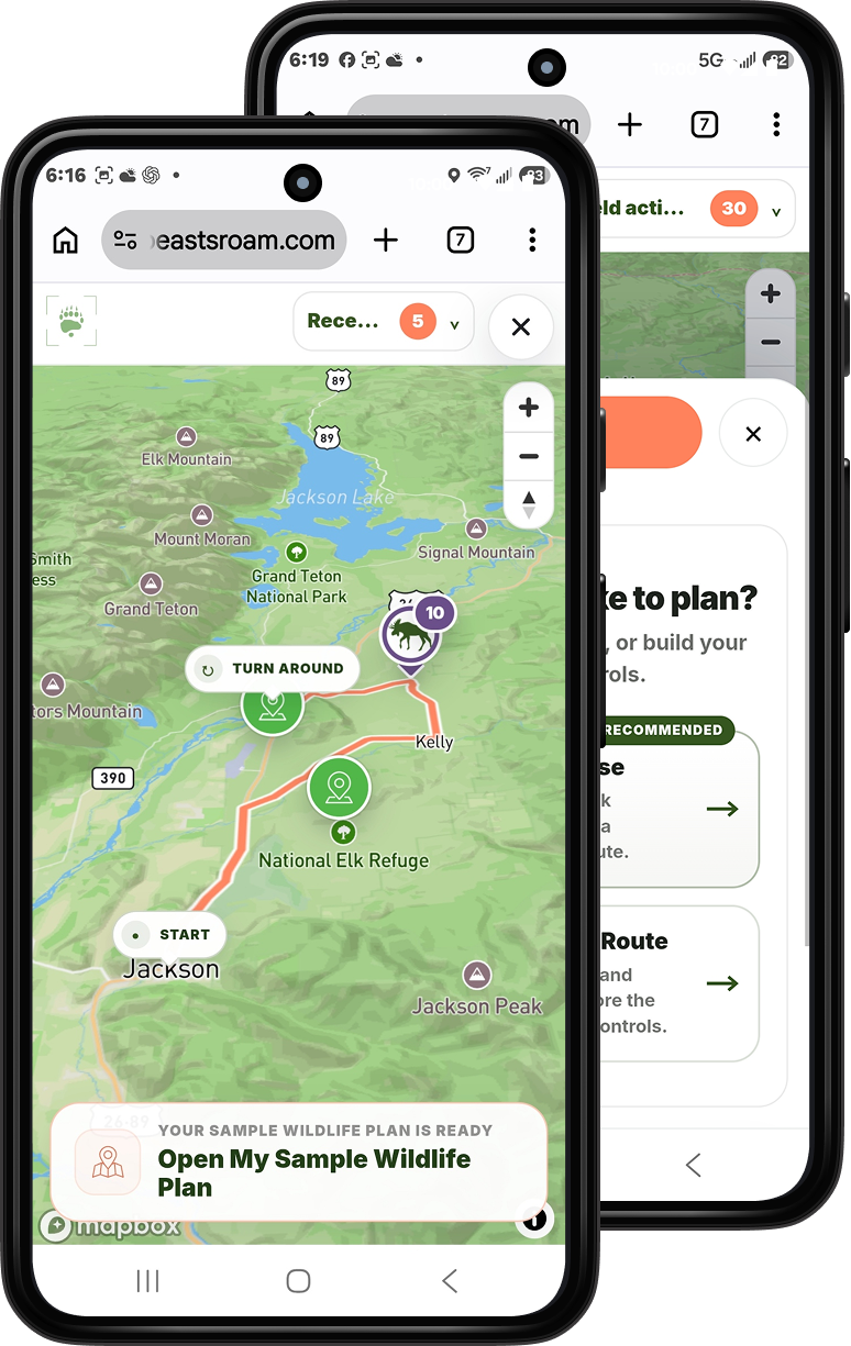Where The Wild Beasts Roam mobile planner showing the full wildlife map and the choice between a suggested route and building a custom route