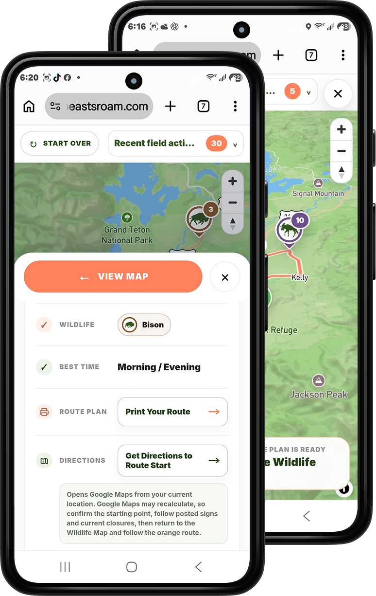 Current mobile route details showing wildlife choice, timing, print route, and directions to the route start