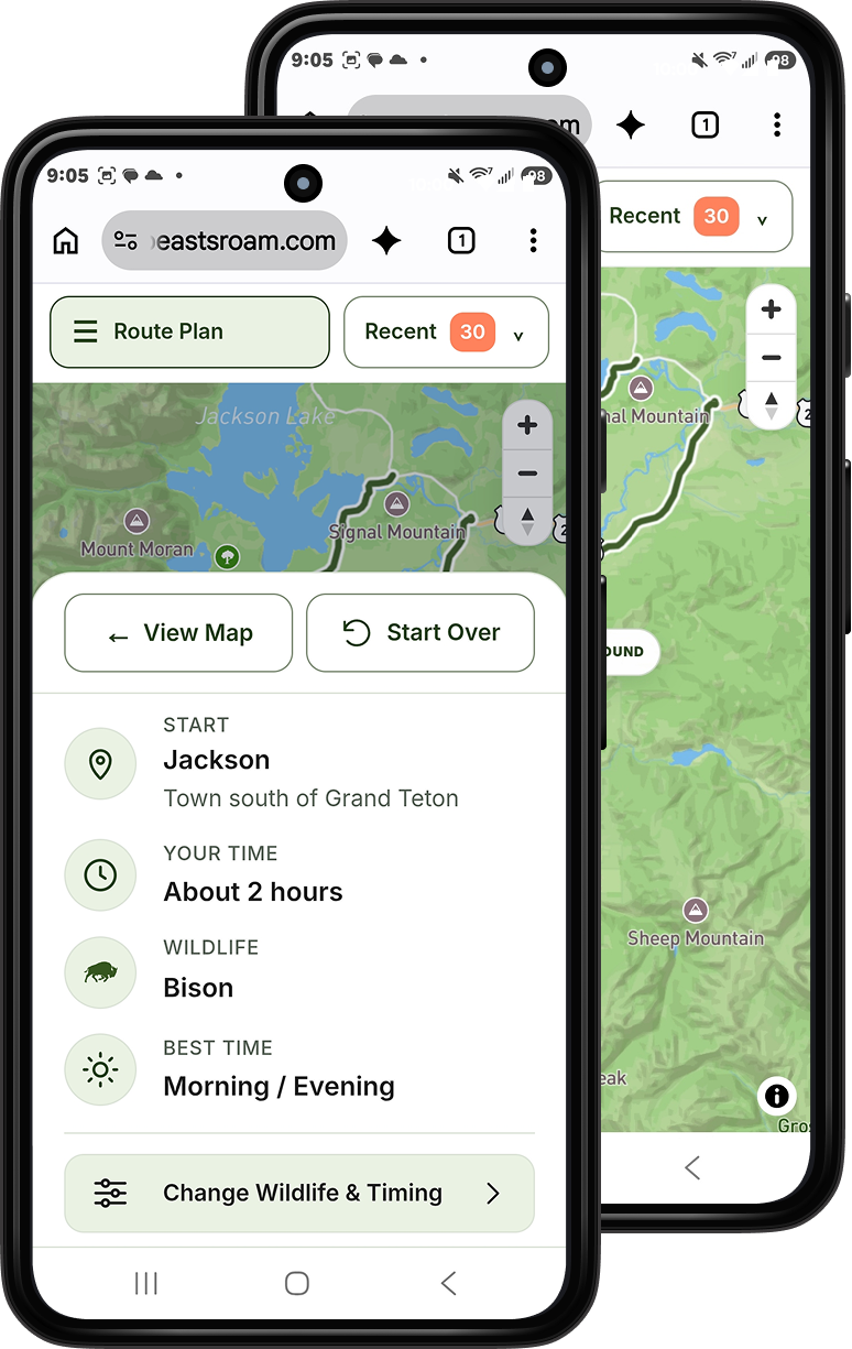 Where The Wild Beasts Roam wildlife planner on a phone.